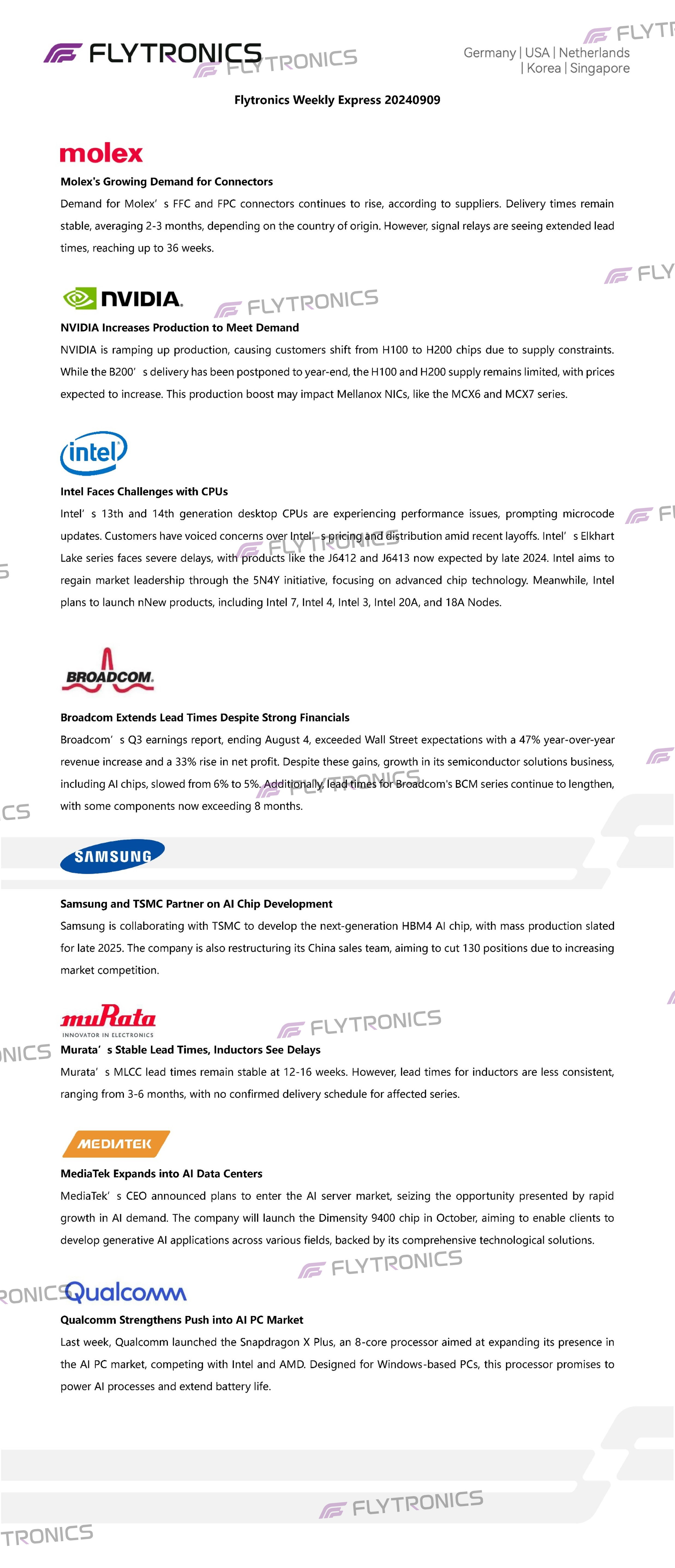 Flytronics Word Template20240909.jpg